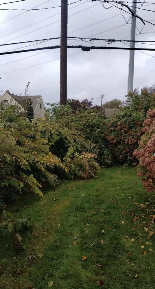 Reliable circuit breaker repair in Pennsauken Township, NJ by Carlos Landscaping & Handyman