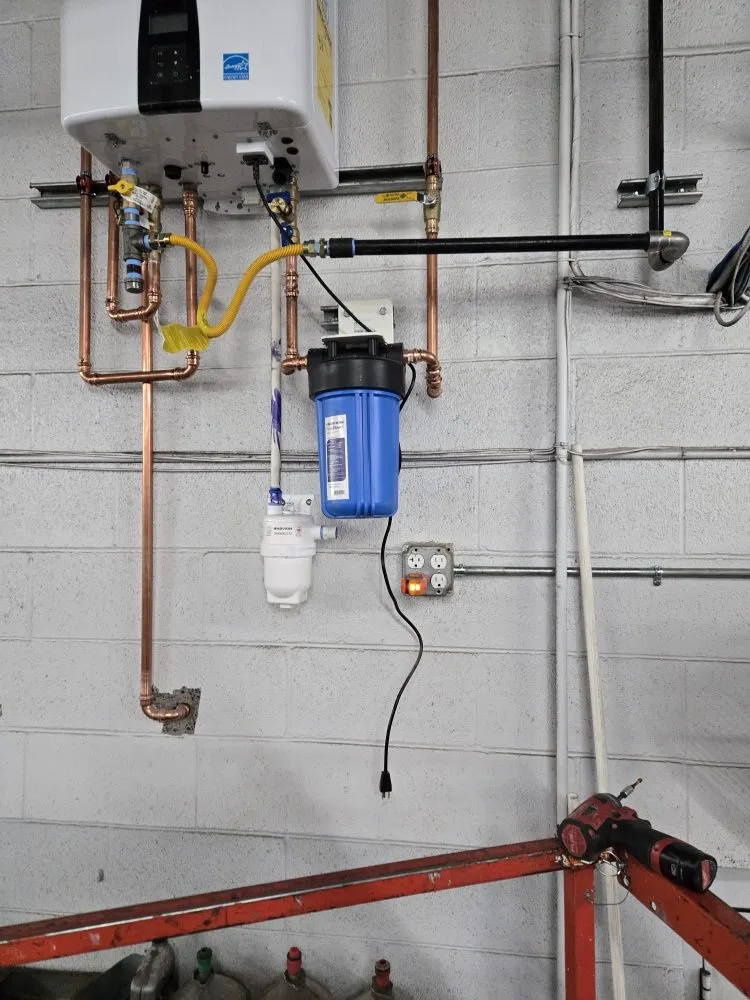 Slide of Carlos Molina