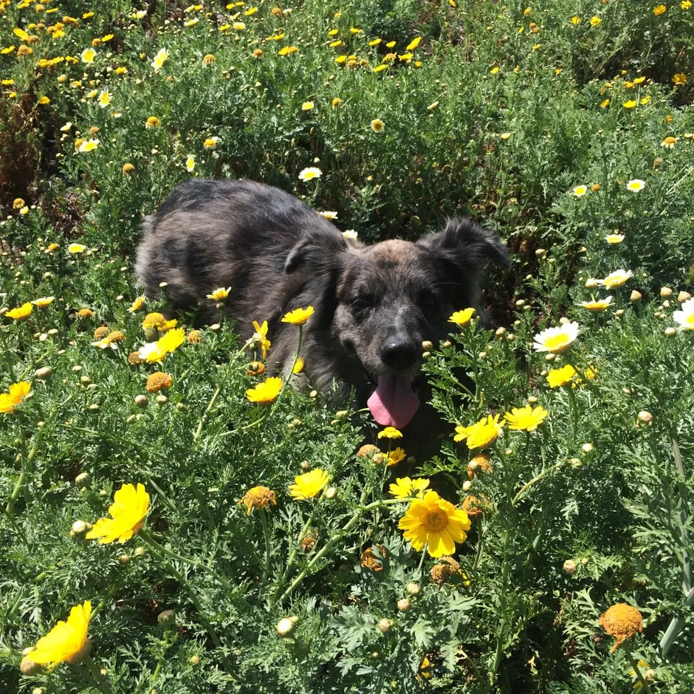 Reliable lighting installation experts serving Carlsbad, CA - Carlsbad Electrical Services