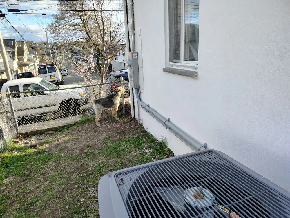 Slide of Carmen Colella Electric