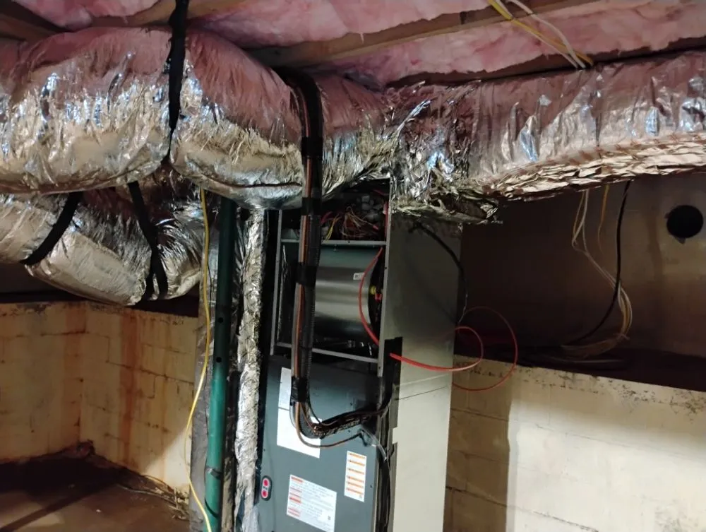 Slide of Carolina Comfort Zone