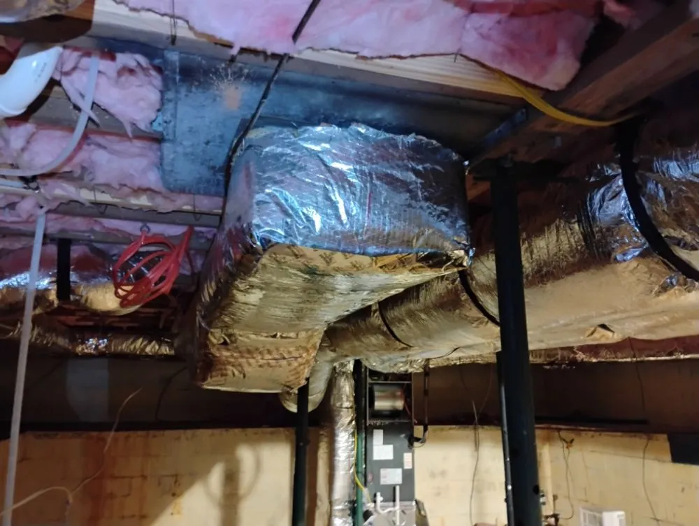 Slide of Carolina Comfort Zone