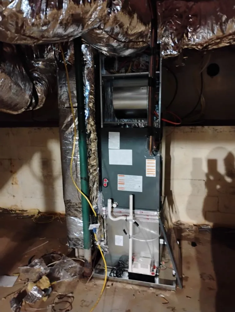 Slide of Carolina Comfort Zone