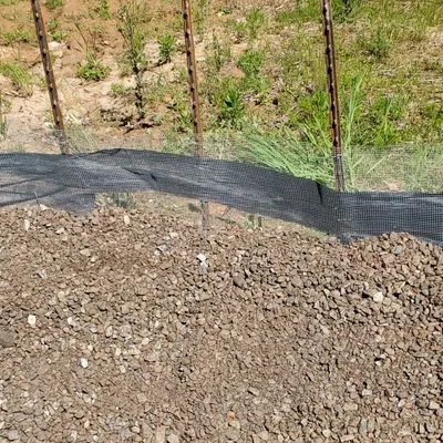 Carolina Land Specialist Logo