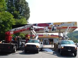 Slide of Carolina Signs & Lighting