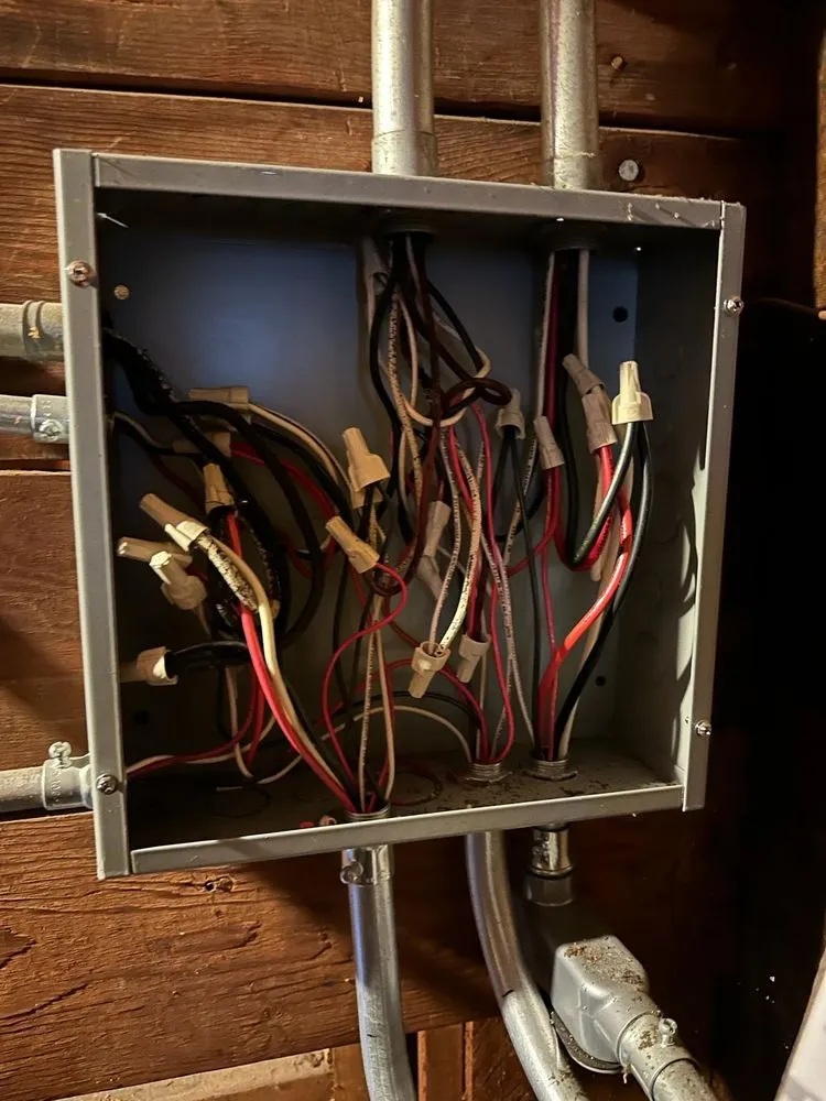 Slide of Carpenter Serge