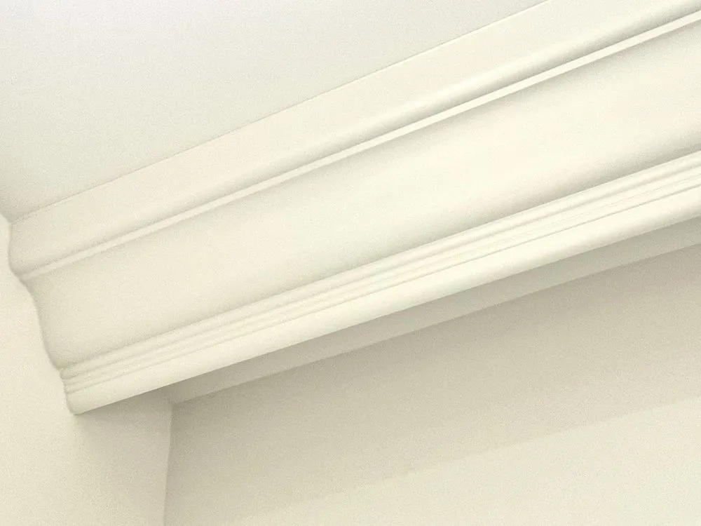 Slide of Carpenter Serge