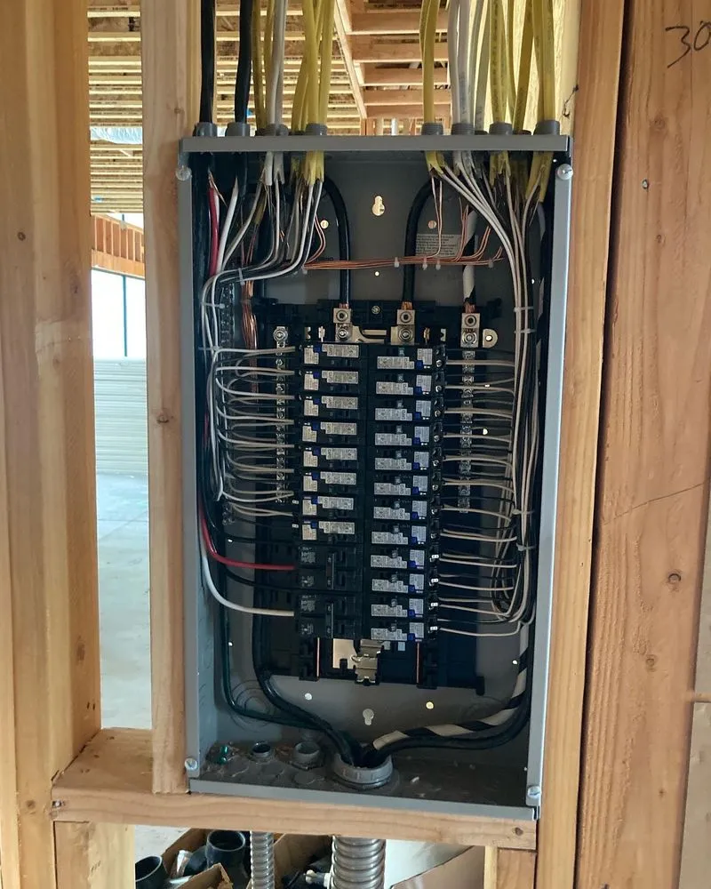 Slide of Carranza Electric