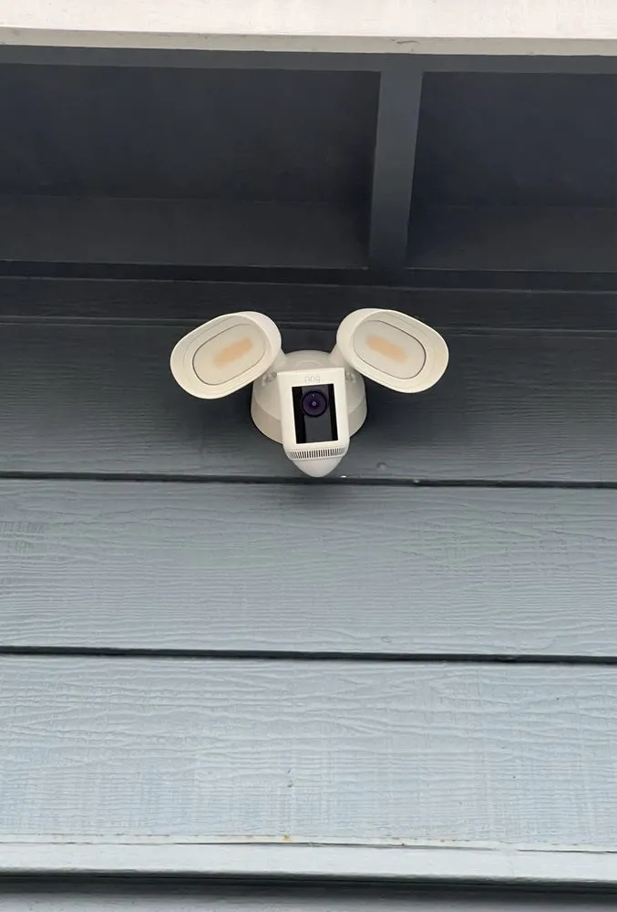 Slide of Carranza Electric