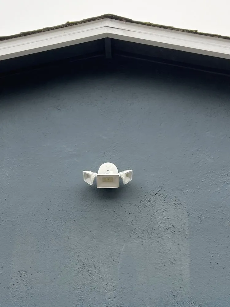 Slide of Carranza Electric