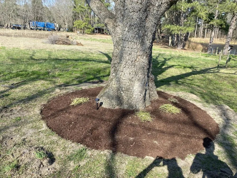 Slide of Carrillo Services