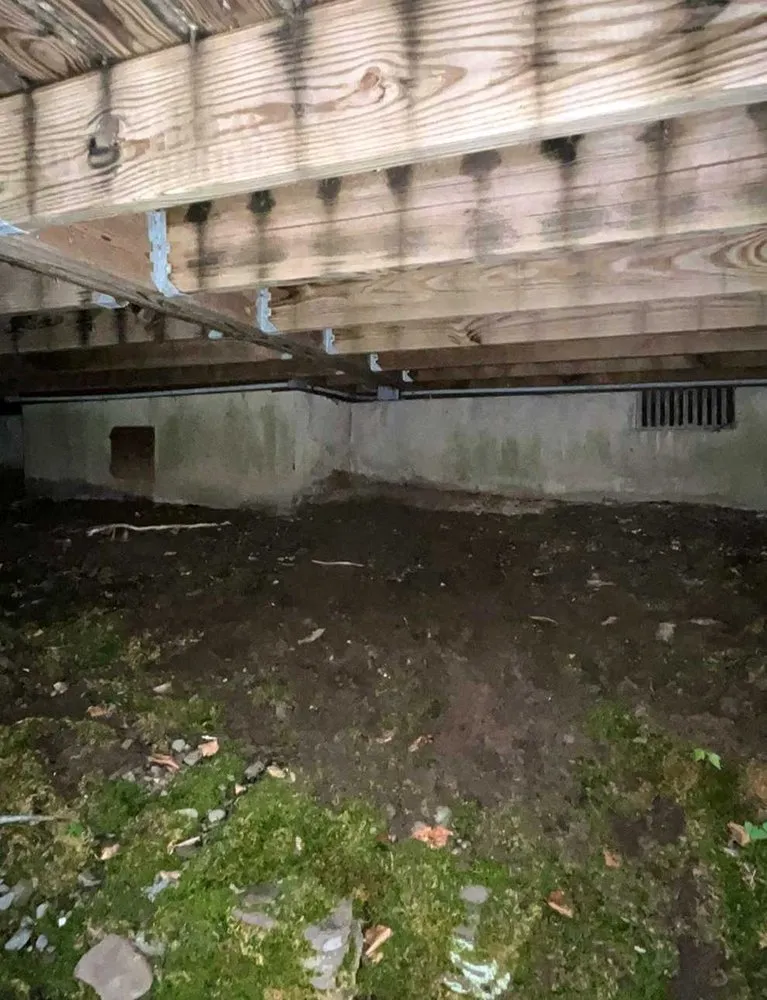 Slide of Carrollwood Electric