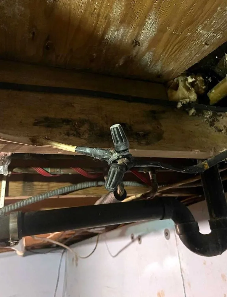 Slide of Carrollwood Electric