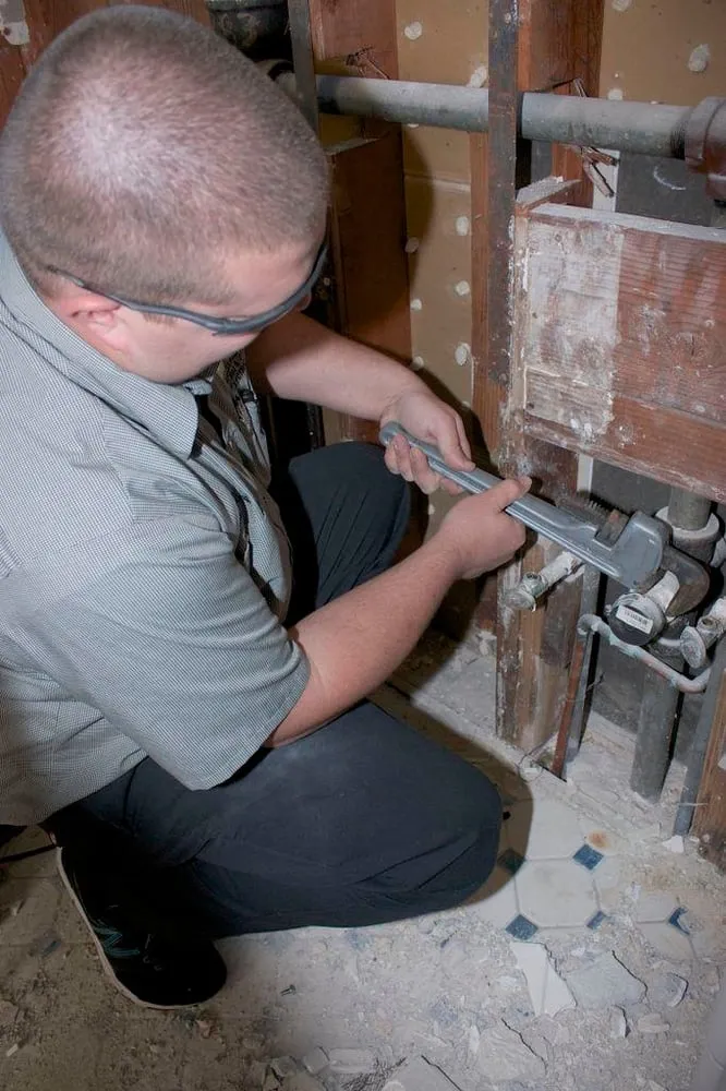 Expert panel upgrade experts serving ,  - Carter Services