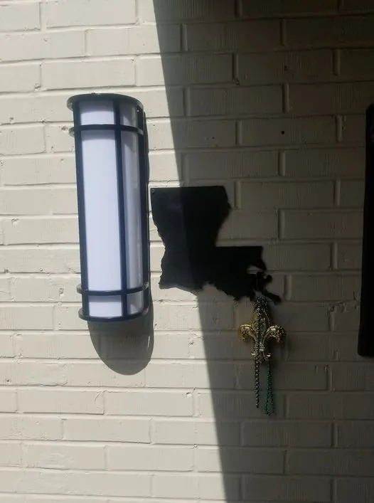 Slide of Carver Services and Tech