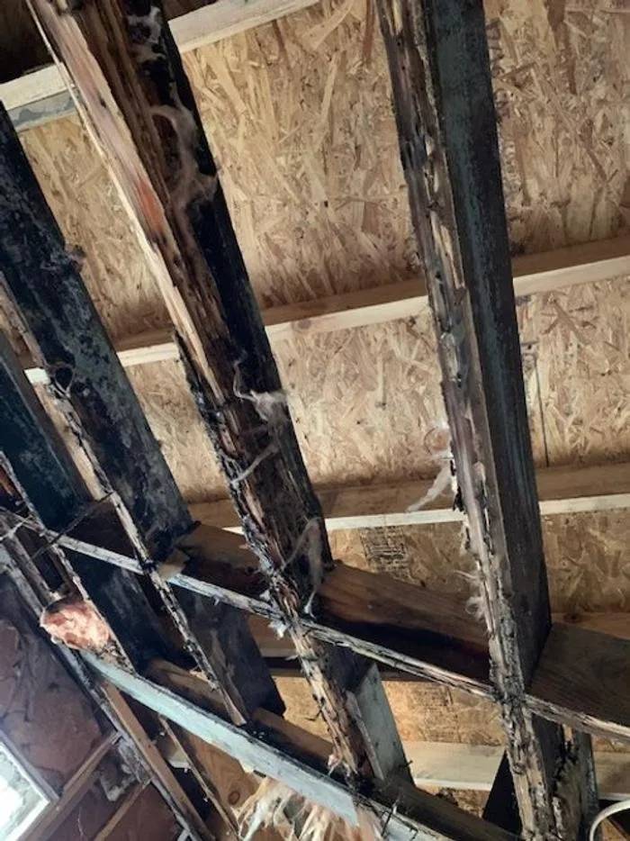 Expert electrical service for homes in lighting installation,  by 