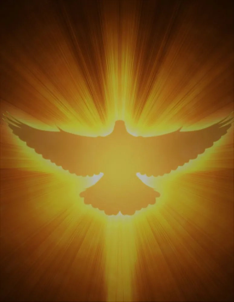 Slide of Castillo Alarm & Electric Systems