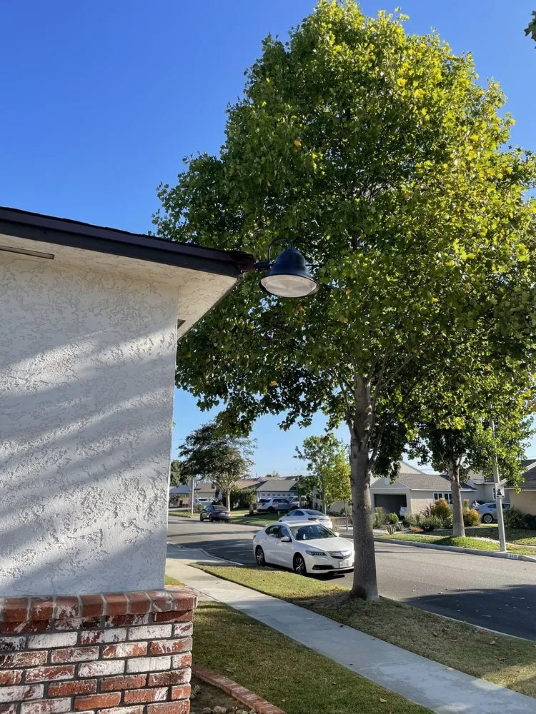 Slide of Castillo’s Electric