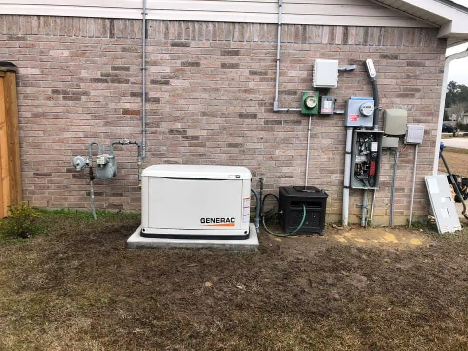 Slide of Catahoula Electric