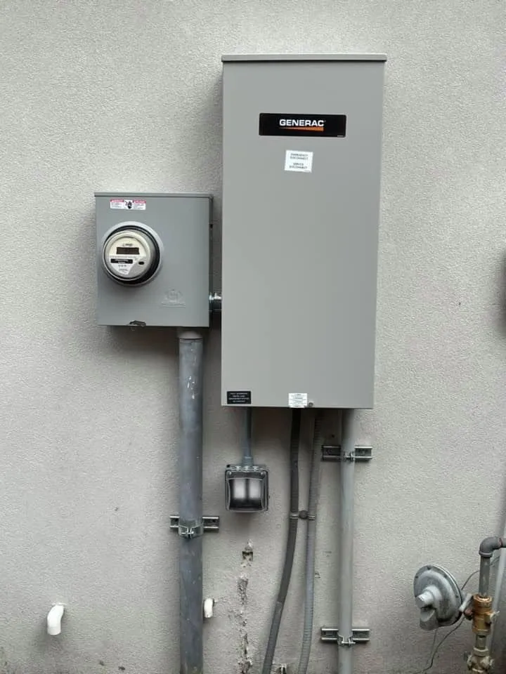 Slide of Catahoula Electric