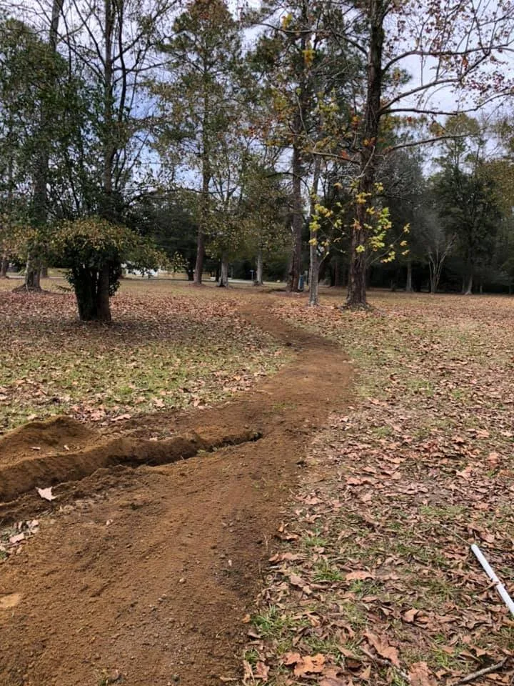 Slide of Catahoula Electric