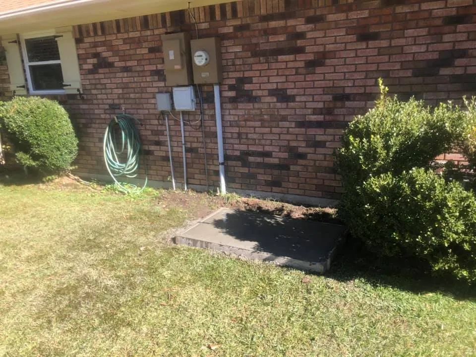 Slide of Catahoula Electric