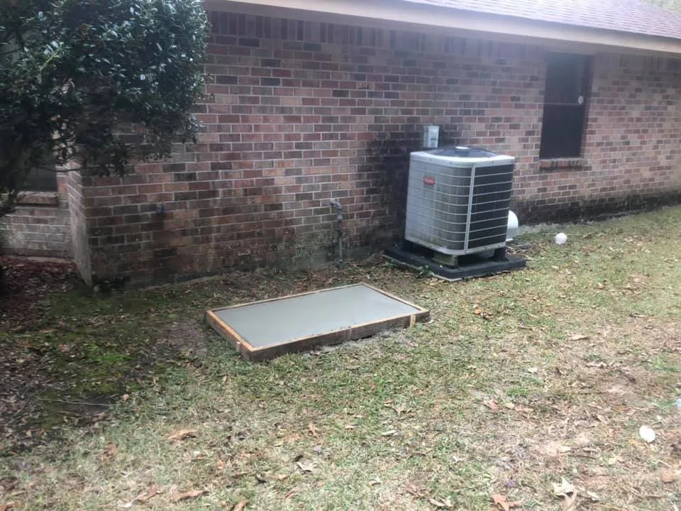 Slide of Catahoula Electric