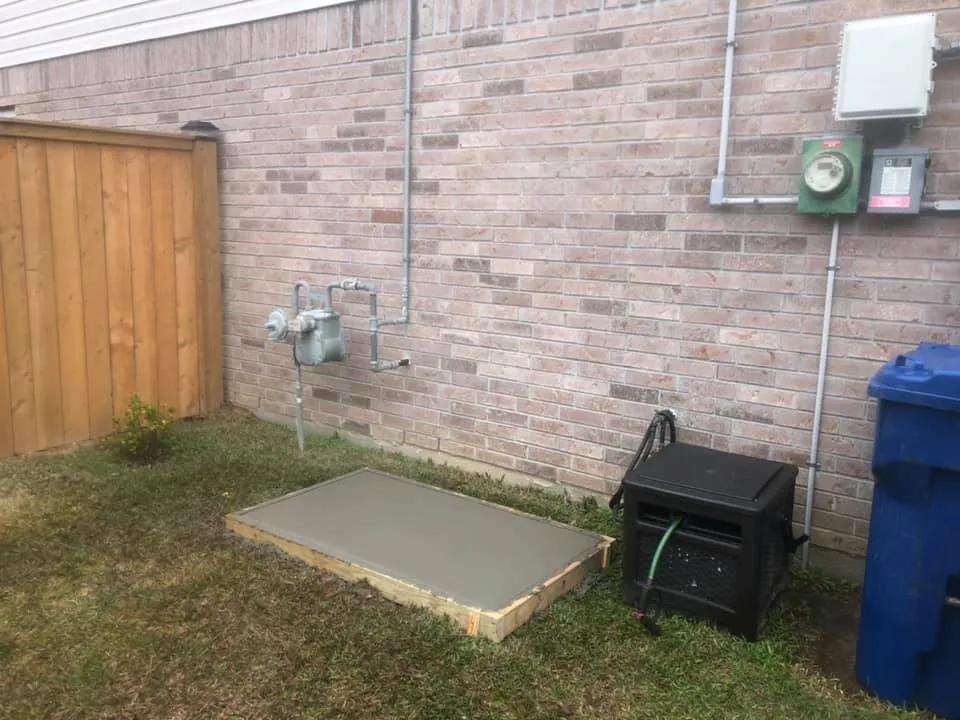 Slide of Catahoula Electric