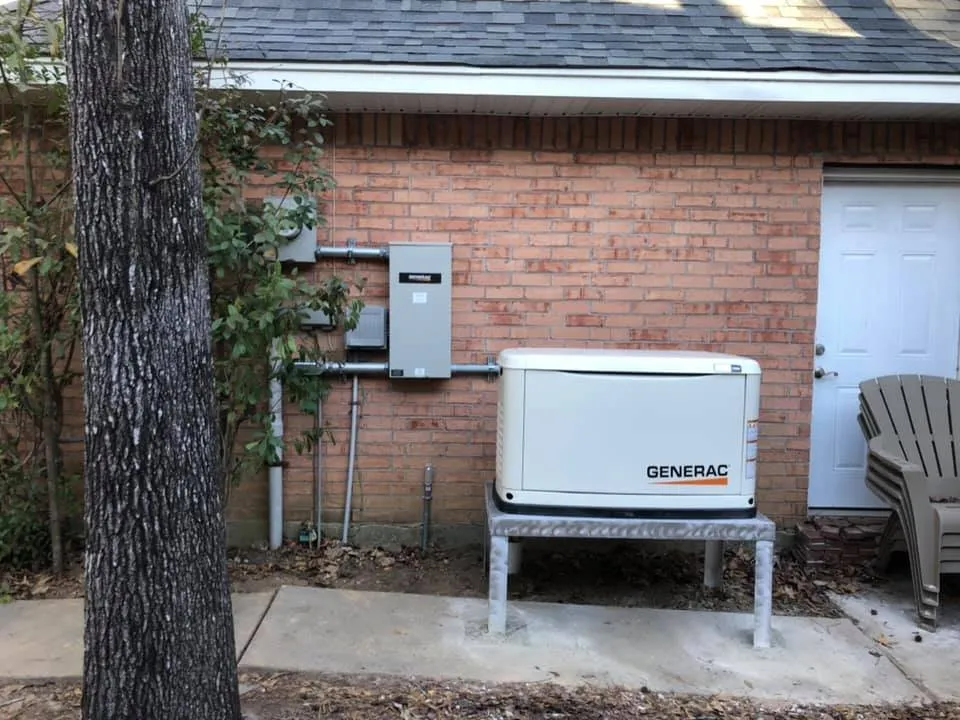 Slide of Catahoula Electric