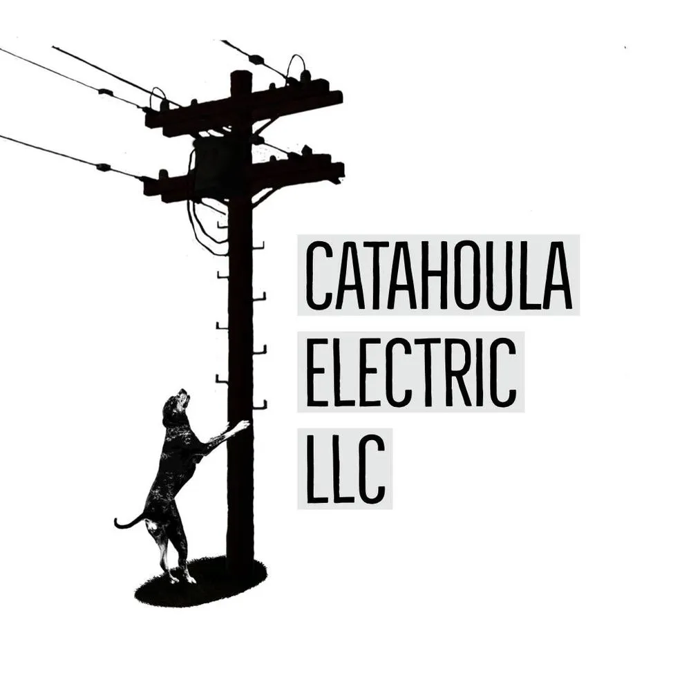 Slide of Catahoula Electric