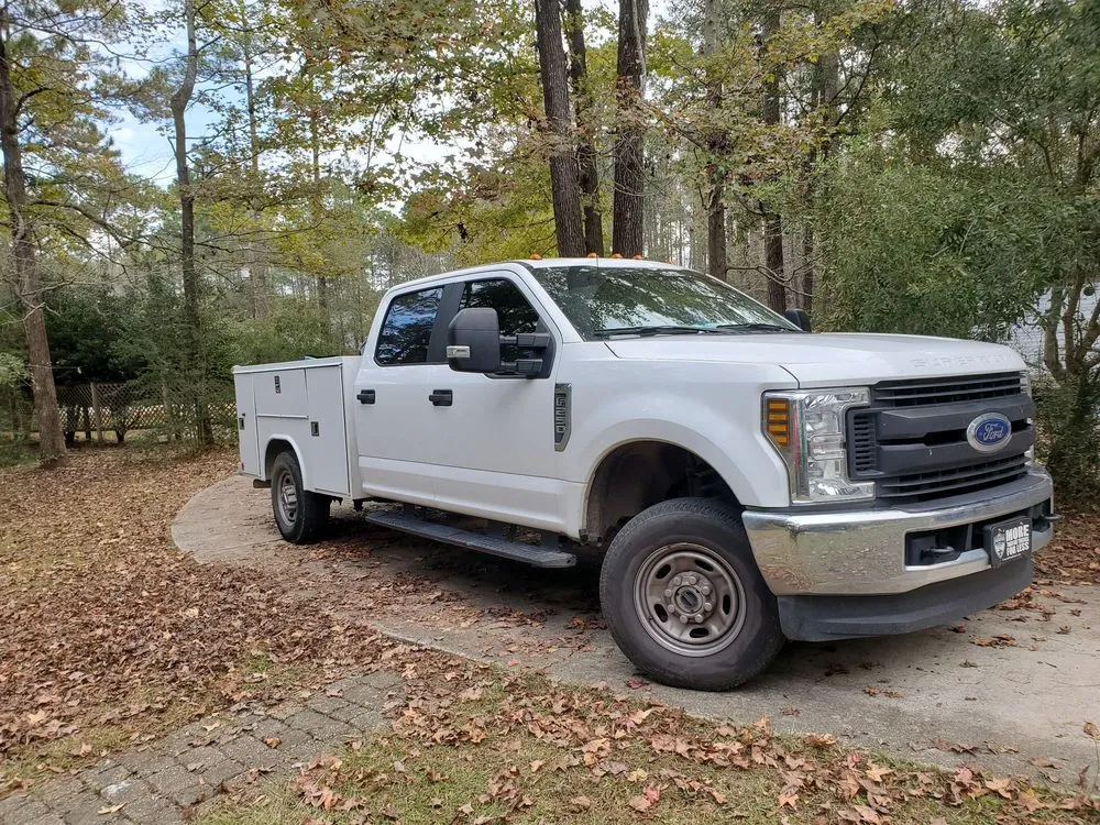 Slide of Catahoula Electric