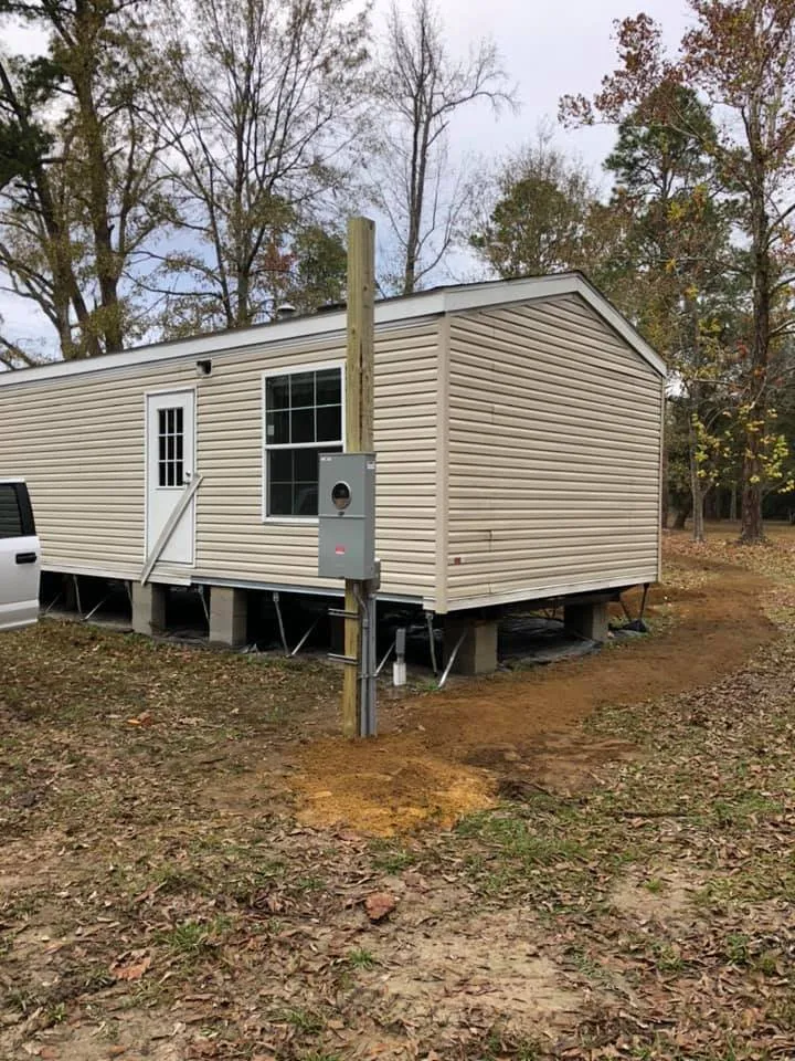 Slide of Catahoula Electric