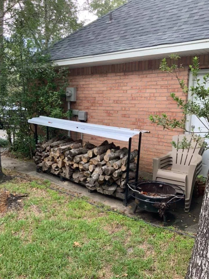 Slide of Catahoula Electric