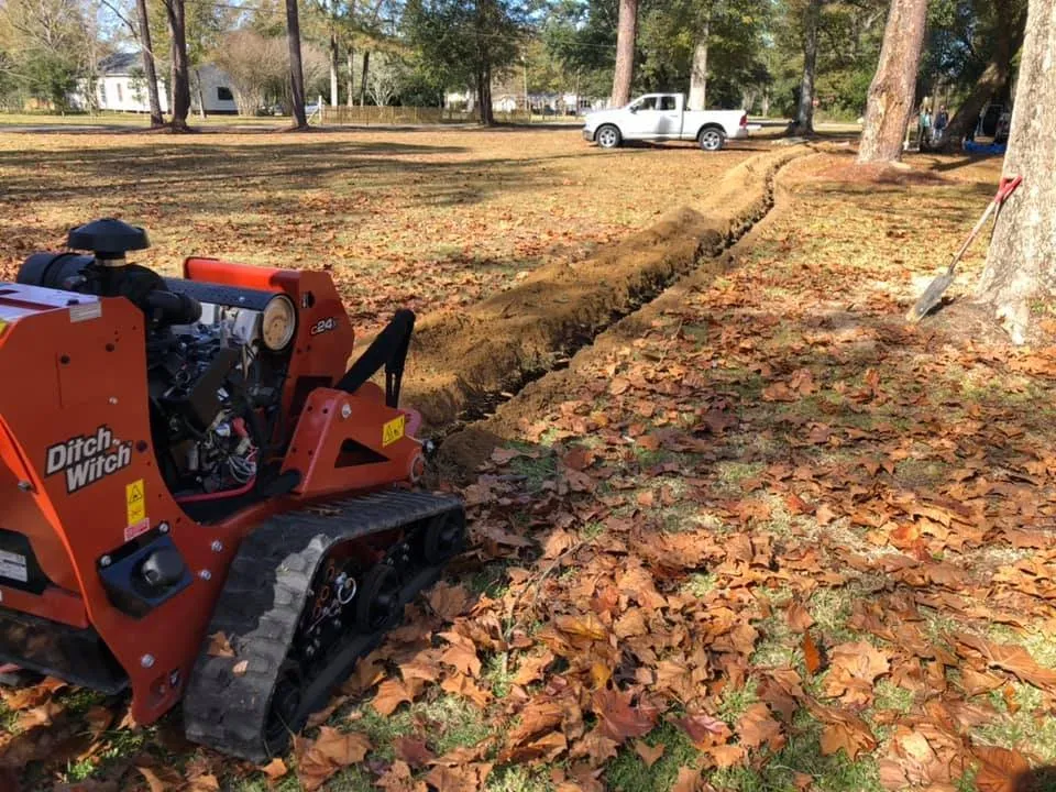 Slide of Catahoula Electric