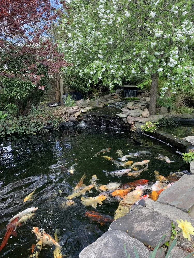 Licensed emergency electrical service experts serving , - Cavanagh Electric