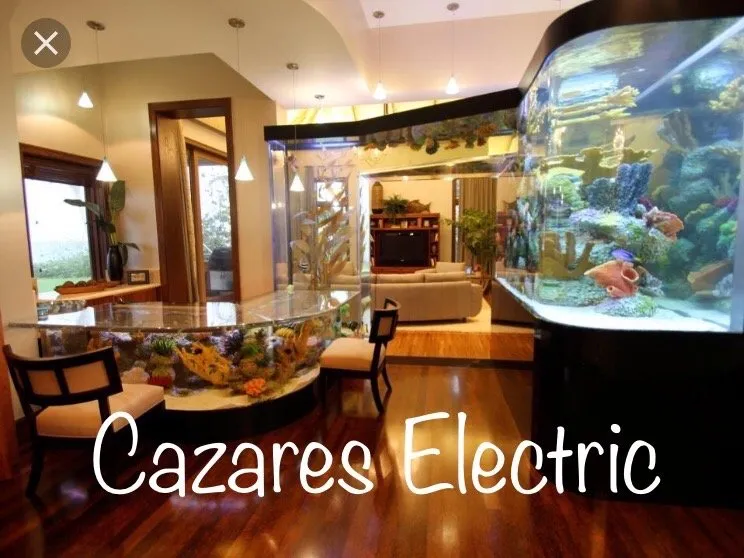 Slide of Cazares Electric