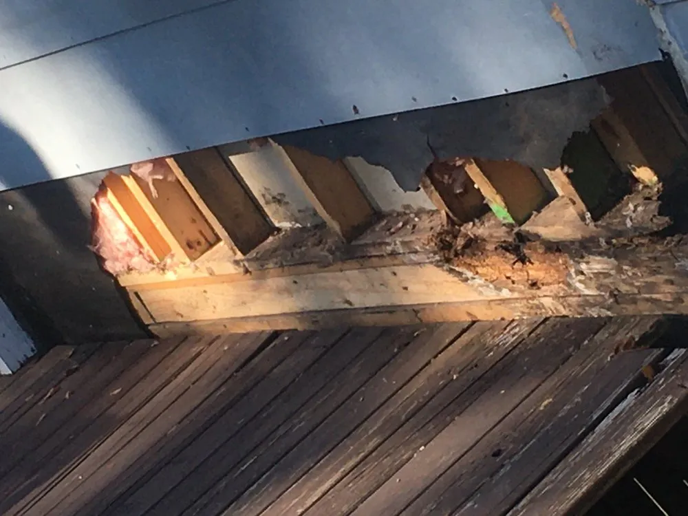 Slide of CB Mechanical