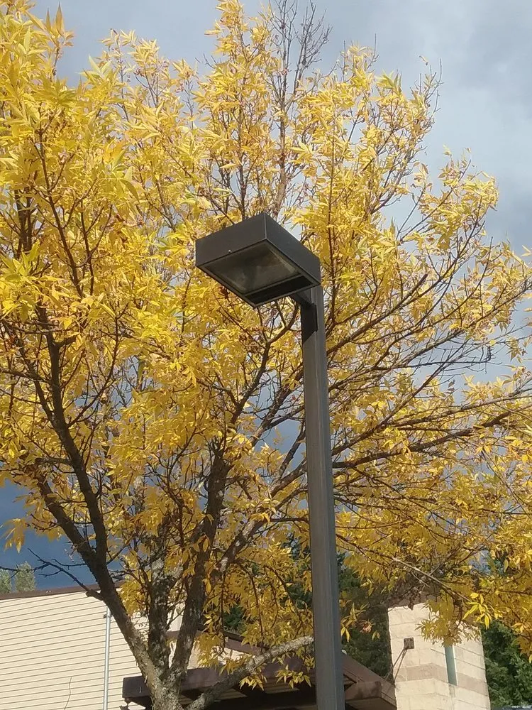 Slide of CBC Electrical Services