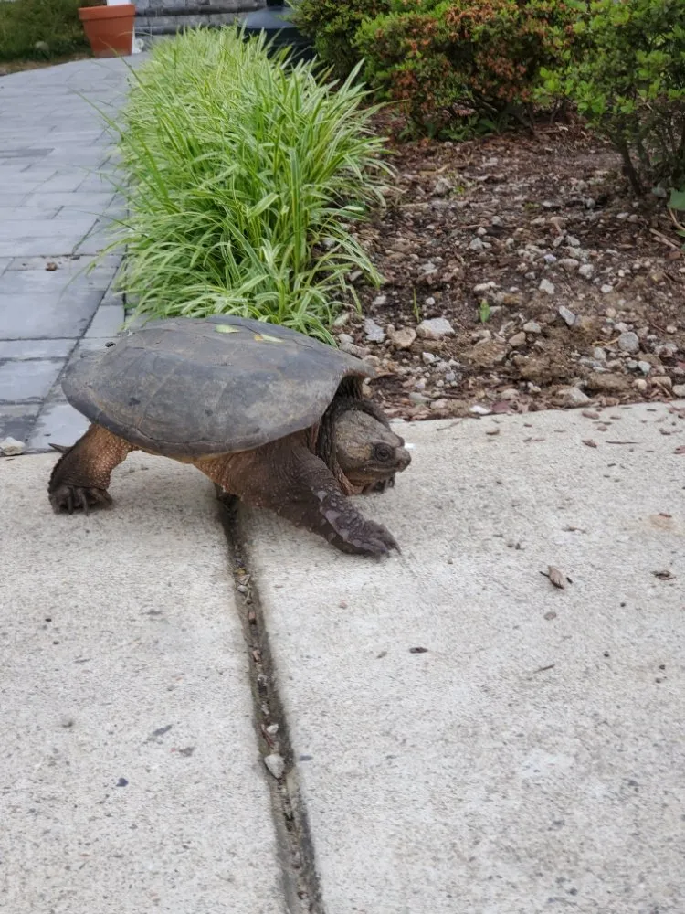 Slide of C&C Handyman Services