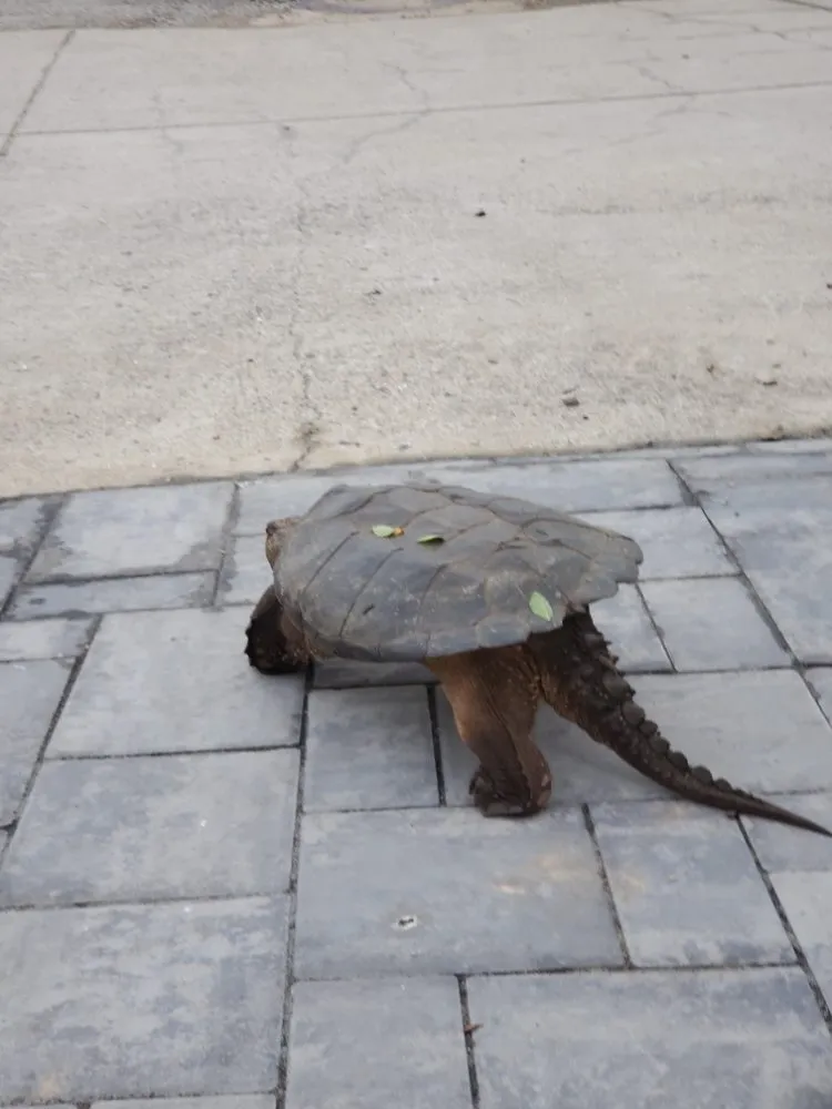 Slide of C&C Handyman Services