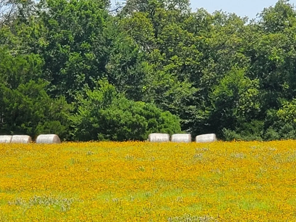 Slide of C&C Handyman Services