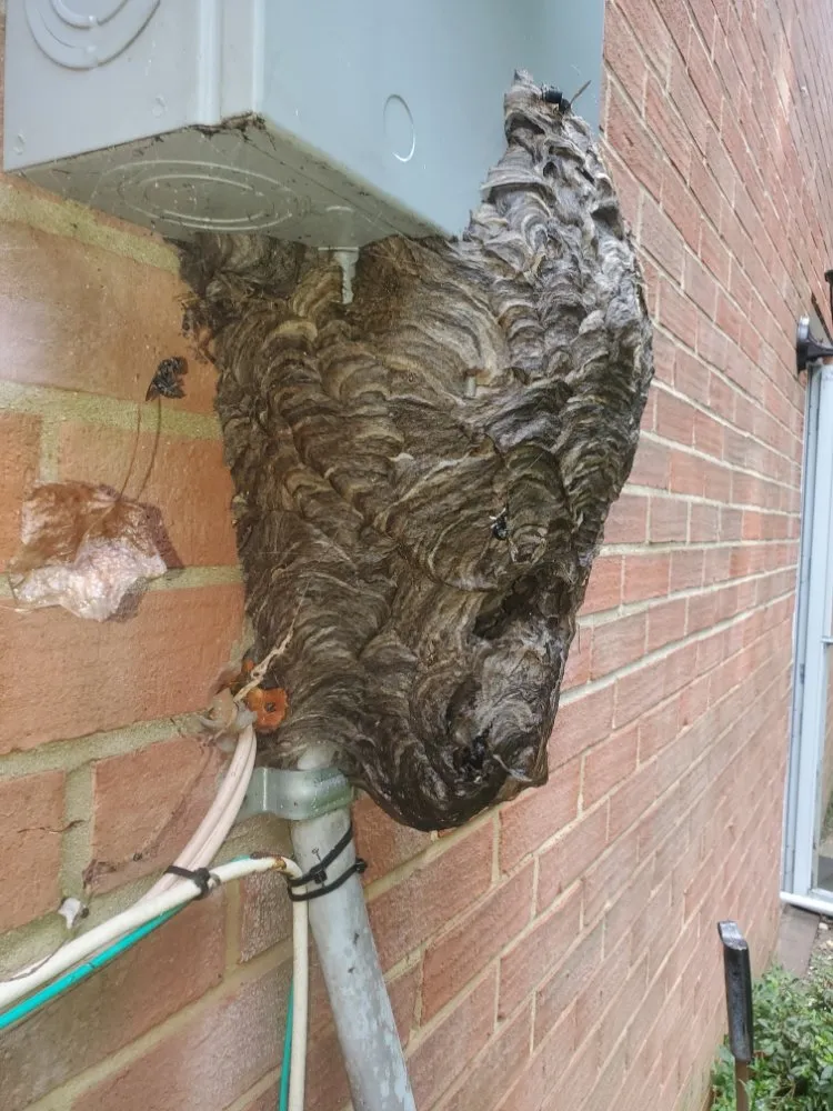 Certified electrical repair in ,  by C&C Handyman Services