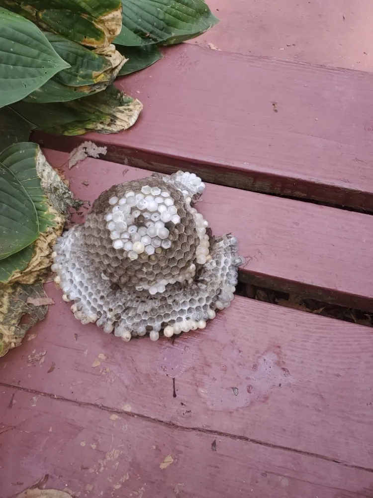 Certified electrical repair in ,  by C&C Handyman Services