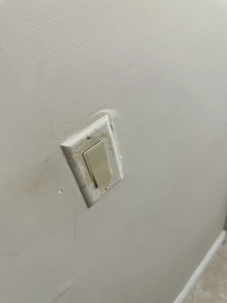 Slide of CC The Sparky