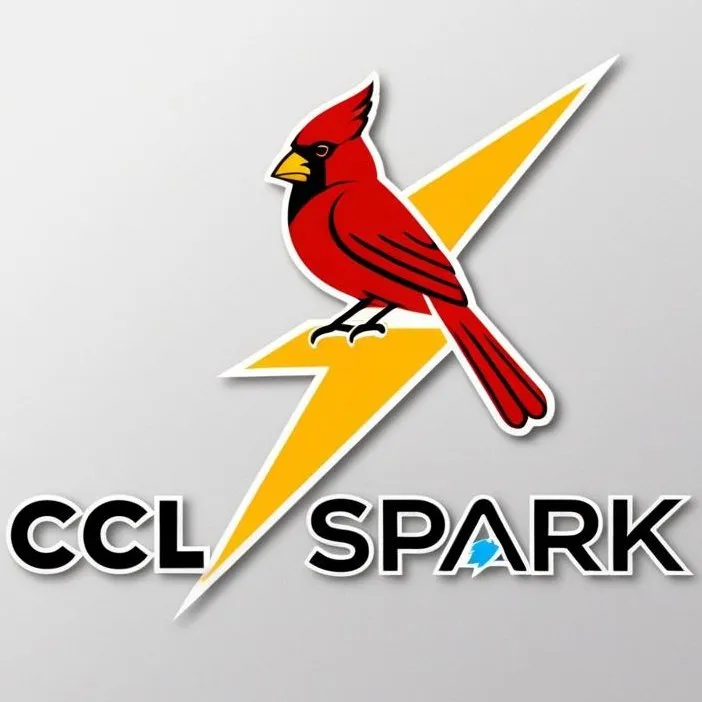 Trusted panel upgrade service in ,  - CCL Spark
