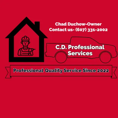 CD Professional Services