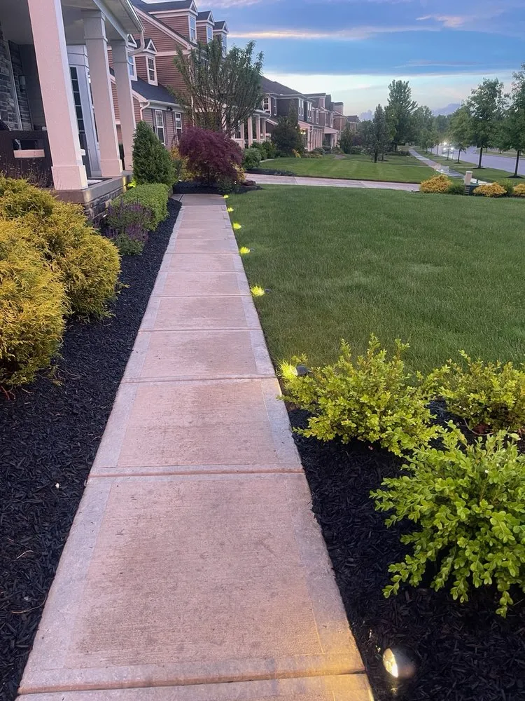 Slide of C&E Services