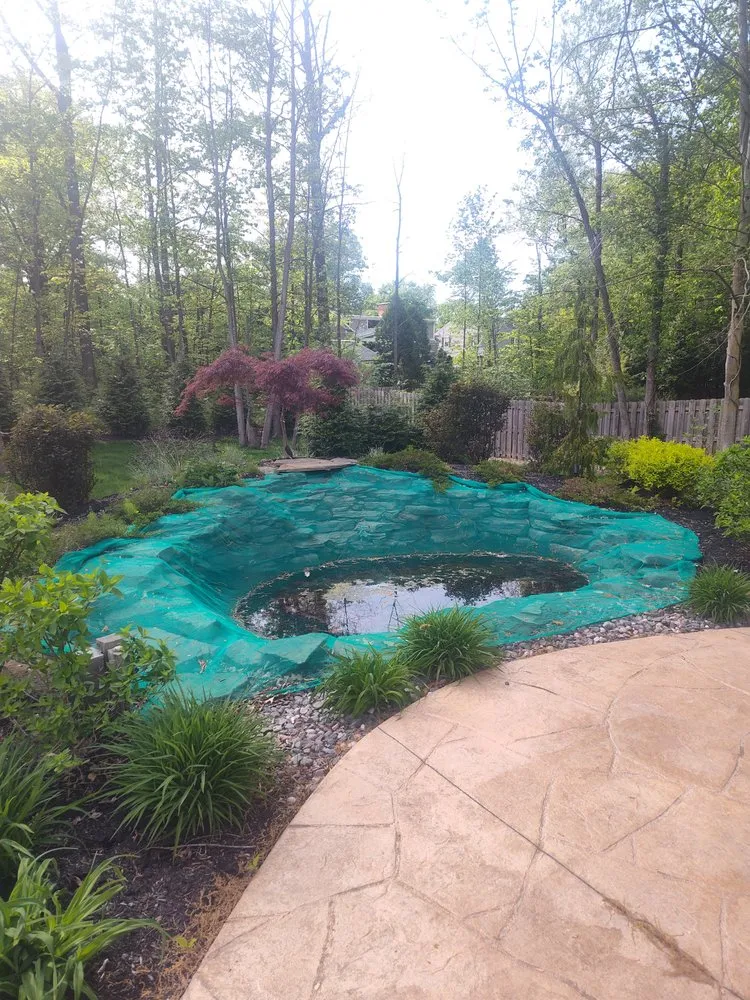 Slide of C&E Services