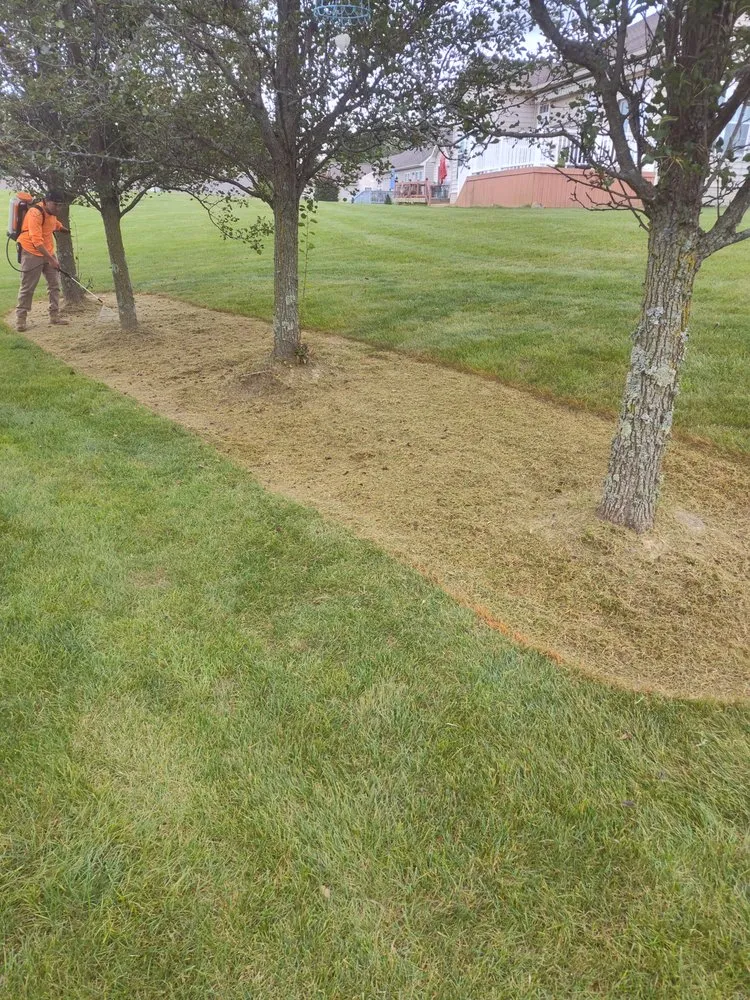 Slide of C&E Services