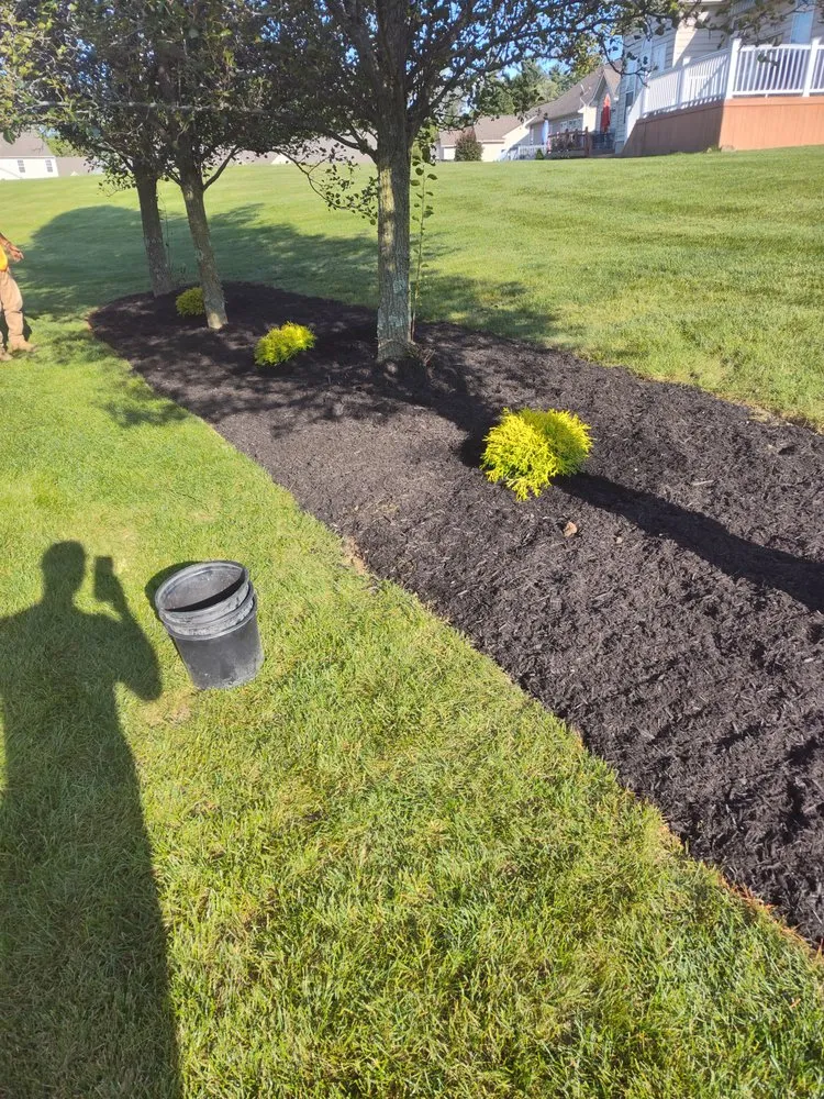 Slide of C&E Services